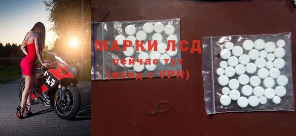 сатива Алзамай